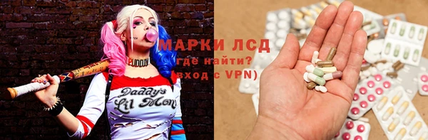 стаф Баксан