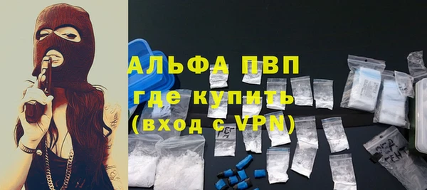 стаф Баксан