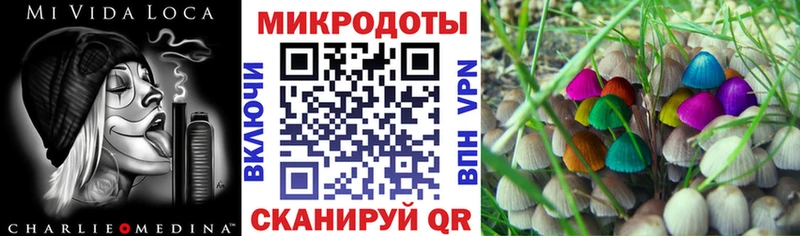 Псилоцибиновые грибы мицелий  купить  цена  hydra ССЫЛКА  Губаха 