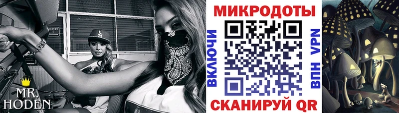 Псилоцибиновые грибы Magic Shrooms Губаха
