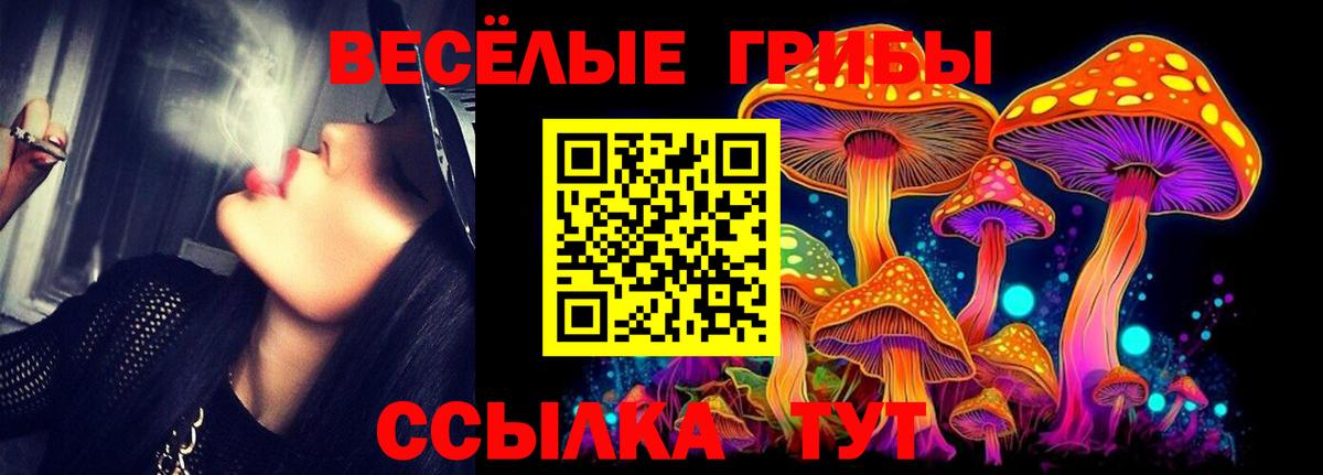 Галлюциногенные грибы Cubensis  Галлюциногенные грибы Magic Shrooms  Губаха  Вход с VPN 